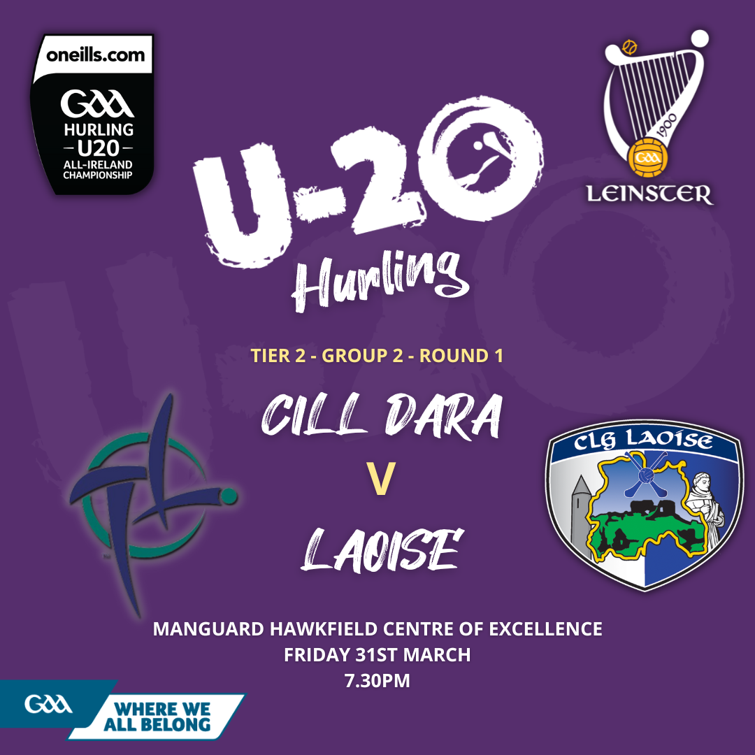 Ollie Hally Confirms U20 Hurling Panel and Captaincy ahead of Kildare Clash